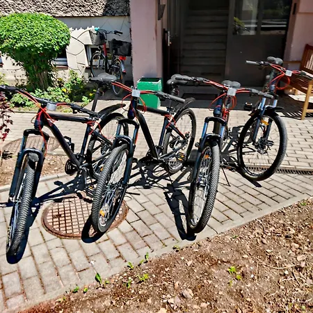 Chelmsko - Rowery Gratis *