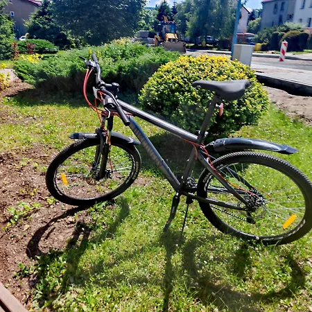 & Chełmsko Śląskie